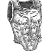 Peitoral Romano