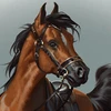 Cavalo de Montaria