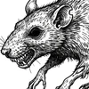 Rato Zumbi