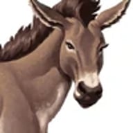 Mula
