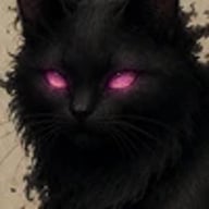 Gato das Sombras