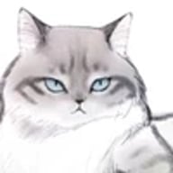 Gatos centauros