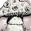 Fungo Gritador