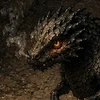 Dragonete Fuliginoso