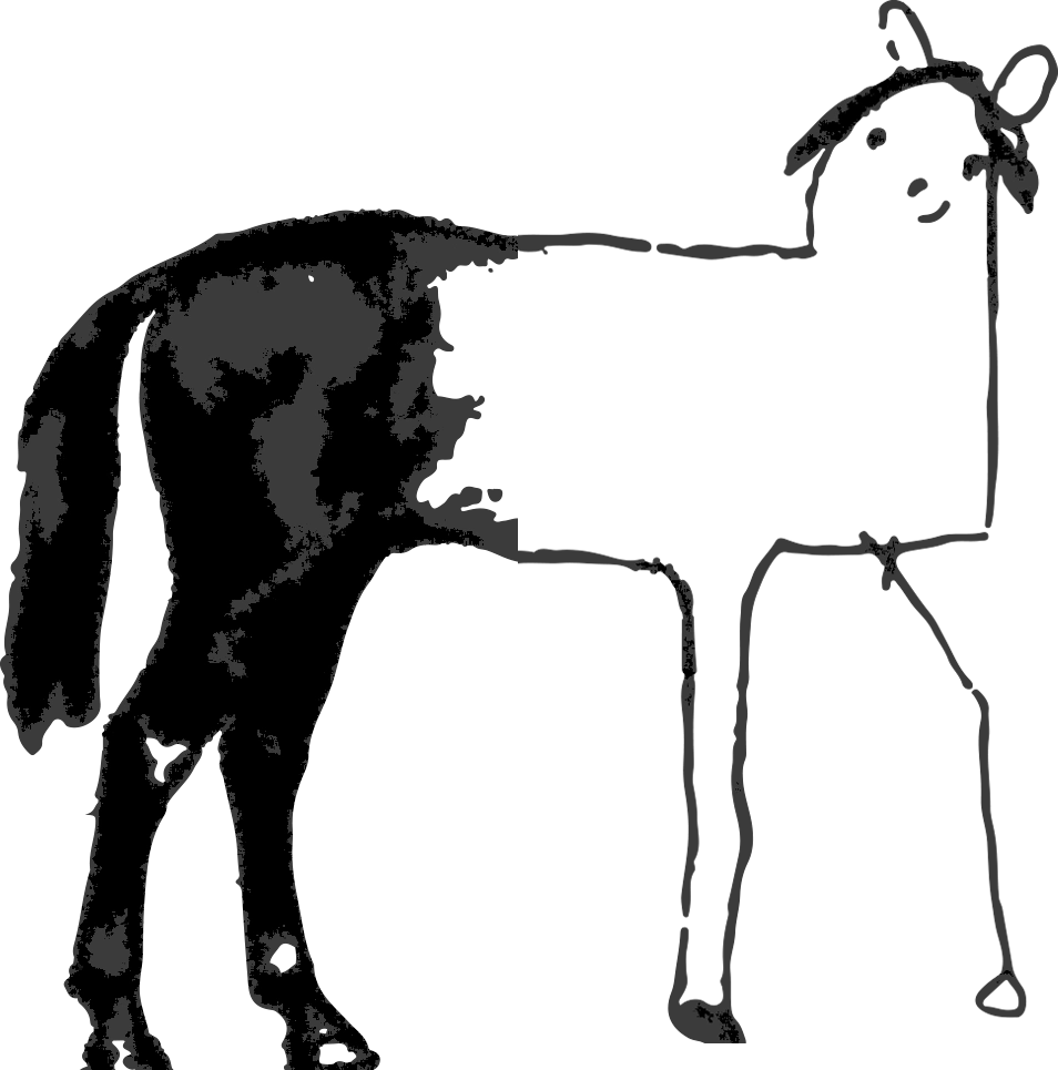 Cavalo de m****