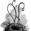 Besta Tentacular