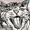 Homem-Gato