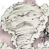 Elemental do Ar
