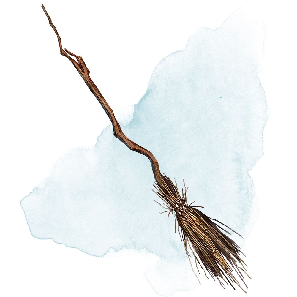 Vassoura animada