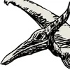 Pterossauro