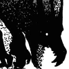 Dragão das Sombras